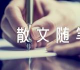 写春天的优美散文随笔600字集合11篇