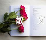 宁静的夜晚抒情散文【七篇】