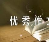 母亲节感想400字优秀作文【汇编二十篇】