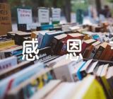 感恩节作文有一种爱叫感恩(锦集14篇)