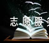 陆安实中学雷锋志愿服务活动优秀方案精选16篇