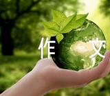 小兔子英语作文范文(精选八篇)