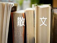 说你爱我情感散文锦集七篇