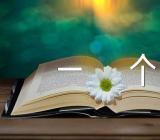 初中作文给自己一个挑战精选二十二篇