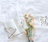 高考作文素材苏轼范文(精选十四篇)