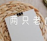 小班《两只老虎》音乐教案(通用15篇)