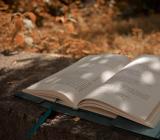 2023年江西南昌中级会计职称考试资格审核时间11月23日【热】