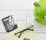 我与小树共成长植树节作文(合集十六篇)