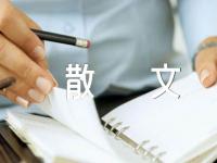 为自己喝彩哲理散文汇编5篇