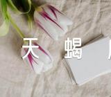 天蝎座的永久幸运色(合集二篇)