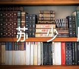 苏少版美术教案——瓶子变变变八篇