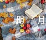 抒情诗歌我寄愁心与明月范文汇总四篇