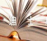 上海迪士尼之旅作文300字范文汇总九篇