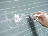 生活杂感的经典散文【汇编六篇】