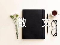 温暖的微笑情感散文精选三篇