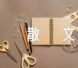 那些年的等待经典散文锦集七篇