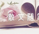 优美散文随笔短篇范文(精选十二篇)