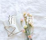 植树节唯美句子锦集三篇