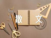 那些年的等待经典散文锦集七篇