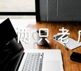 小班《两只老虎》音乐教案集合15篇