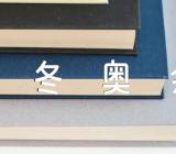 2022北京冬奥会作文400字范文(精选十五篇)