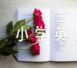 小学英语教案(合集13篇)