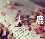 大班下学期音乐教案《大鹿》范文(精选十篇)