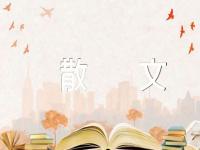 冬季以后哲理散文范文四篇