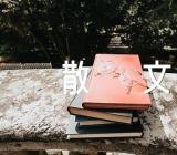 描写月亮优美散文(锦集7篇)