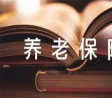 江西灵活就业人员养老保险缴费基数精选4篇