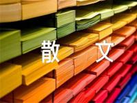 我想你了的情感散文汇编6篇