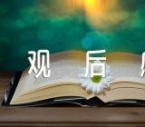 老西藏故事观后感【汇编四篇】