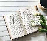 大监督体系工作报告范文五篇