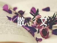 朗诵名篇抒情散文(通用3篇)