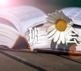 防诈骗安全教育主题班会教案(合集四篇)