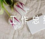 2023年乡镇科协工作总结范文四篇