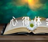 简明新疆地方史心得体会1500字(合集4篇)