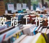 审议政府工作报告如何发言集合5篇