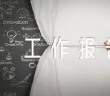 政府半年工作报告【汇编五篇】