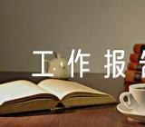 讨论党支部工作报告发言(通用5篇)