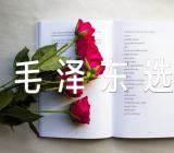 毛泽东选集后感锦集四篇