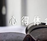 新疆若干历史问题的心得体会范文汇总三篇