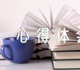 2023年政府工作报告心得体会(合集3篇)