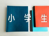 小学生励志名言【汇编二篇】