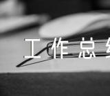 乡镇领导班子全面从严治党工作总结【三篇】