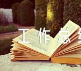 乡镇统战工作总结【三篇】