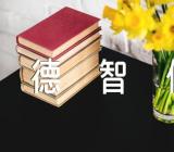 自我鉴定德智体美劳300-500字集合5篇