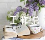 学校2024年工作总结汇编5篇