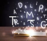 民政办工作总结和下一步计划集合3篇