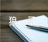 狼牙山五壮士教学反思范文(精选六篇)